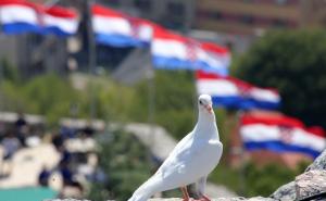 U Kninu počelo Središnje obilježavanje 23. godišnice "Oluje"